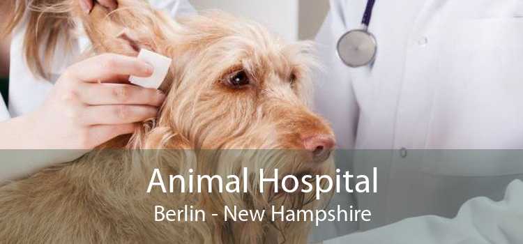 Animal Hospital Berlin - New Hampshire