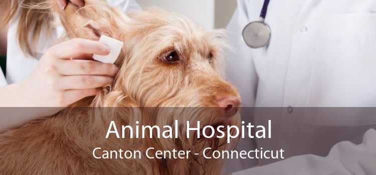 Animal Hospital Canton Center - Connecticut