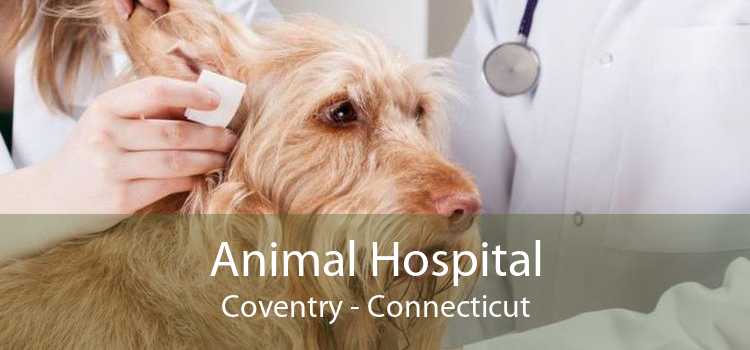 Animal Hospital Coventry - Connecticut