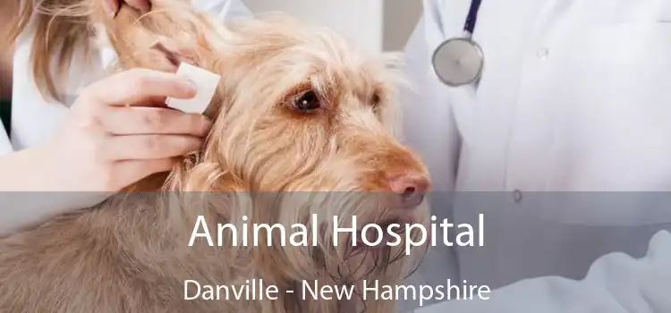 Animal Hospital Danville - New Hampshire