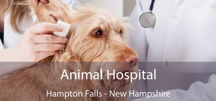 Animal Hospital Hampton Falls - New Hampshire