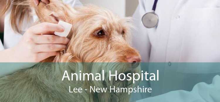 Animal Hospital Lee - New Hampshire