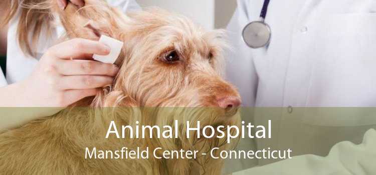 Animal Hospital Mansfield Center - Connecticut