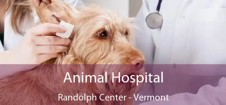 Animal Hospital Randolph Center - Vermont