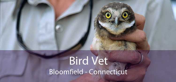 Bird Vet Bloomfield - Connecticut