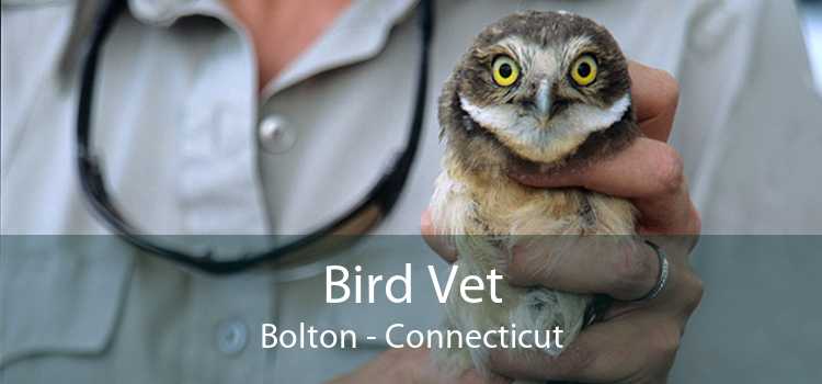 Bird Vet Bolton - Connecticut