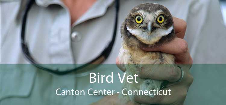 Bird Vet Canton Center - Connecticut