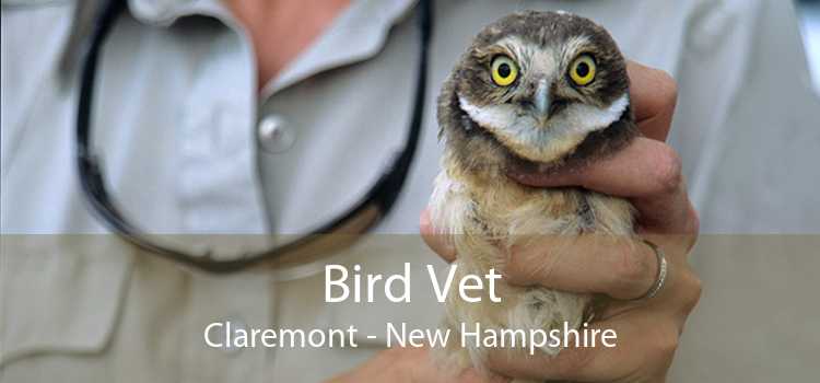 Bird Vet Claremont - New Hampshire