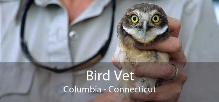 Bird Vet Columbia - Connecticut