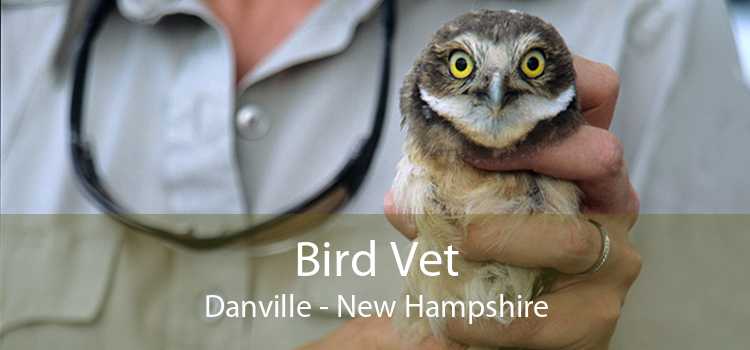 Bird Vet Danville - New Hampshire