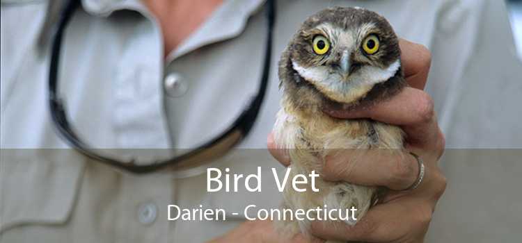 Bird Vet Darien - Connecticut