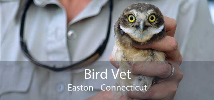 Bird Vet Easton - Connecticut