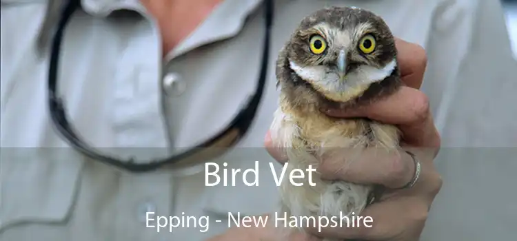 Bird Vet Epping - New Hampshire