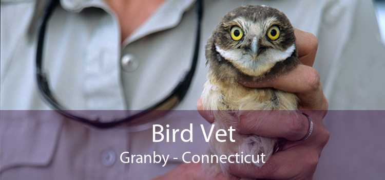 Bird Vet Granby - Connecticut