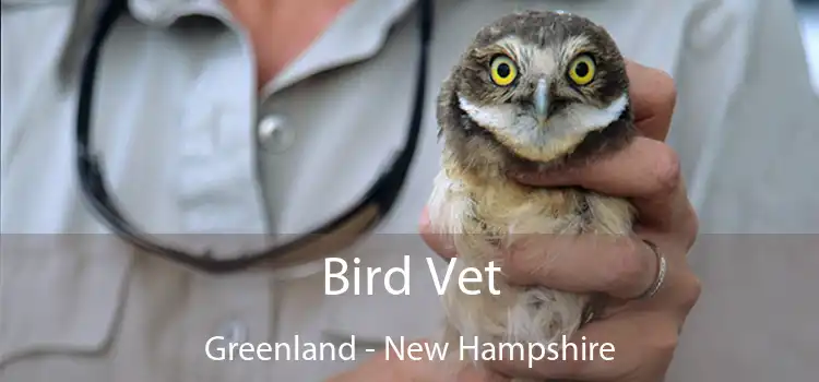 Bird Vet Greenland - New Hampshire