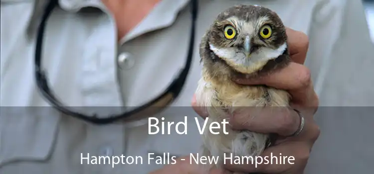 Bird Vet Hampton Falls - New Hampshire
