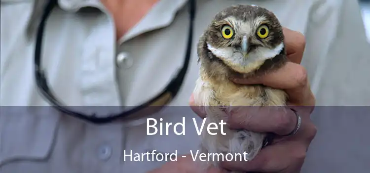 Bird Vet Hartford - Vermont