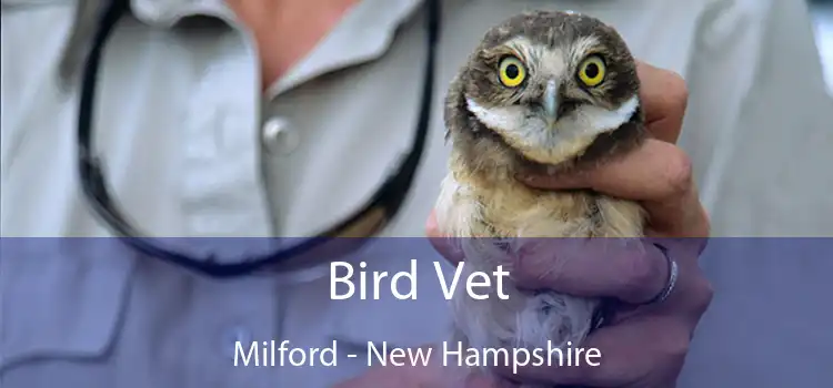 Bird Vet Milford - New Hampshire