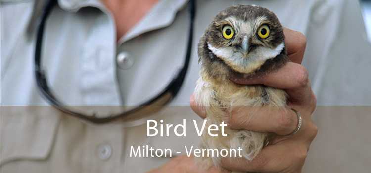 Bird Vet Milton - Vermont