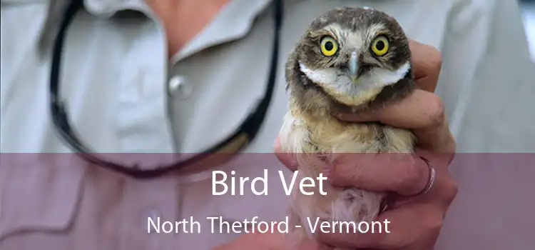 Bird Vet North Thetford - Vermont