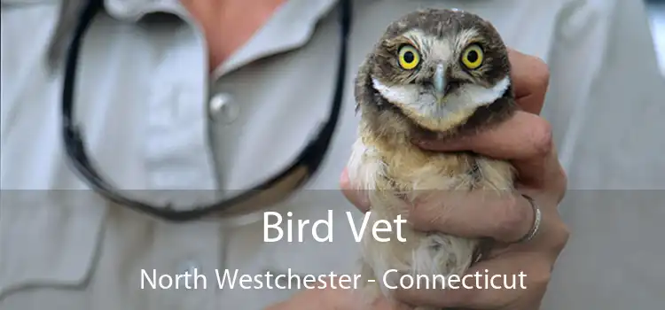 Bird Vet North Westchester - Connecticut