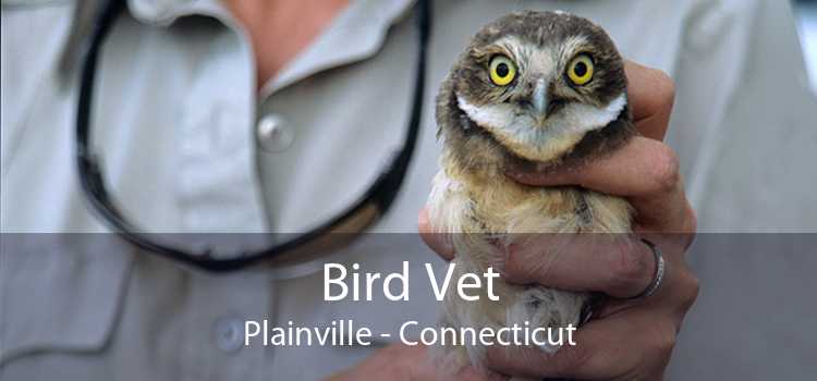 Bird Vet Plainville - Connecticut