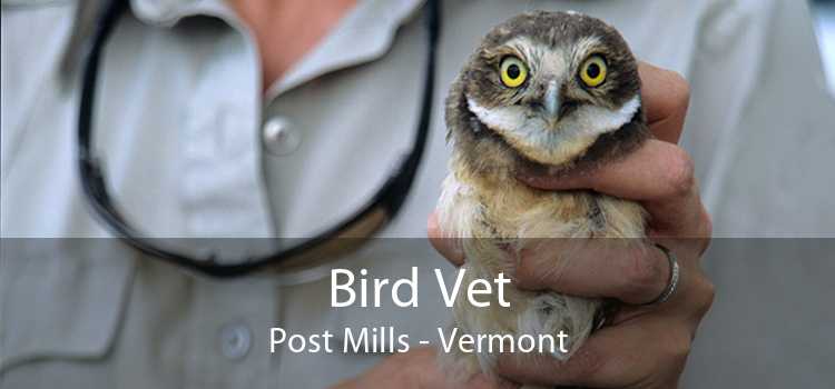 Bird Vet Post Mills - Vermont
