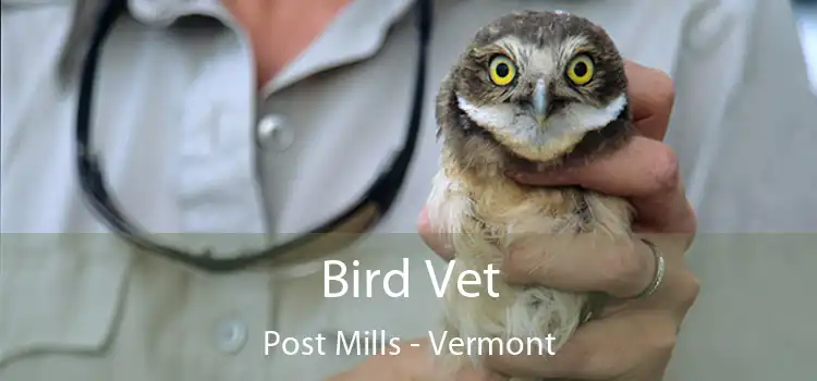 Bird Vet Post Mills - Vermont