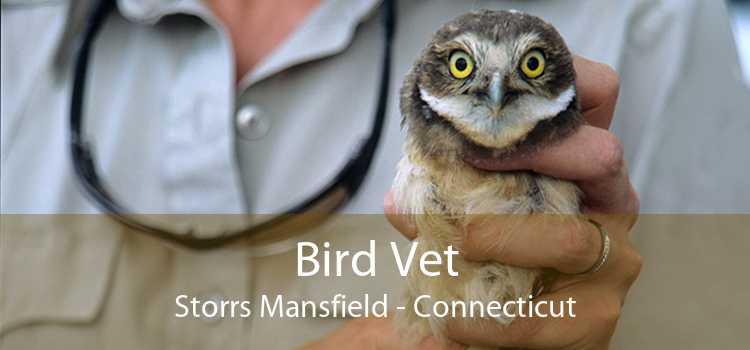 Bird Vet Storrs Mansfield - Connecticut
