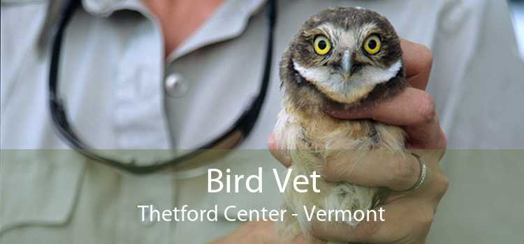 Bird Vet Thetford Center - Vermont