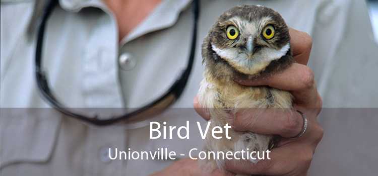 Bird Vet Unionville - Connecticut