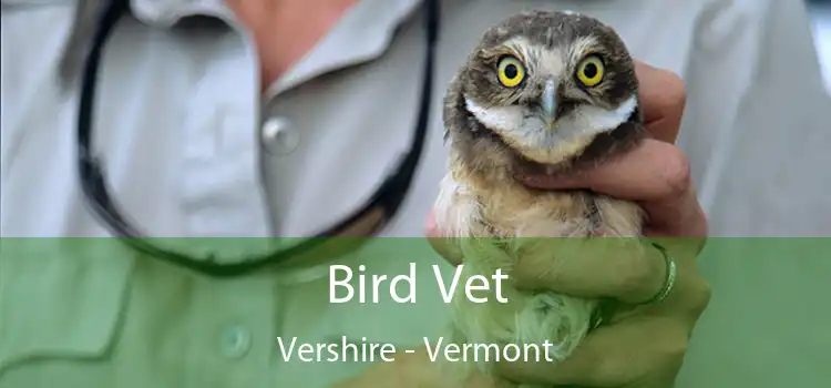 Bird Vet Vershire - Vermont