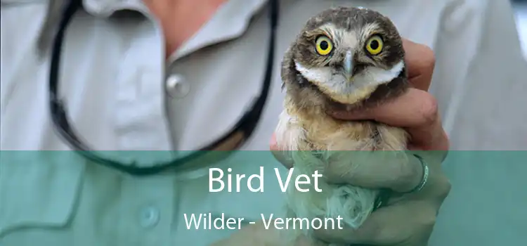 Bird Vet Wilder - Vermont