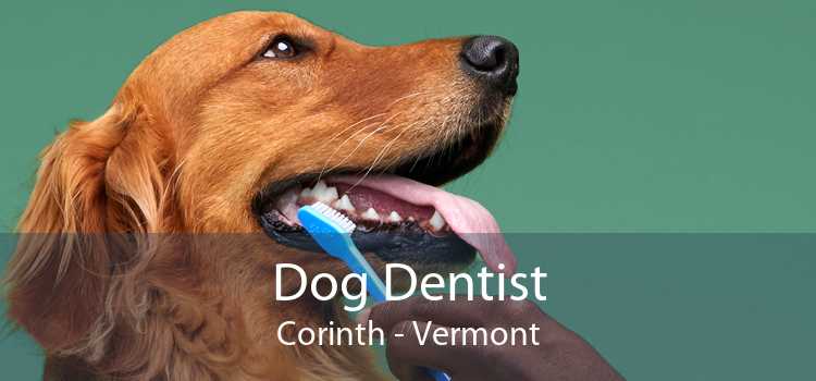 Dog Dentist Corinth - Vermont