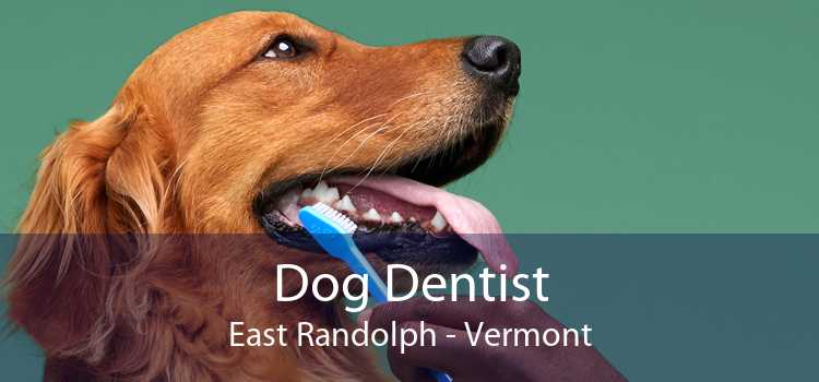 Dog Dentist East Randolph - Vermont