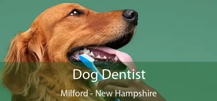 Dog Dentist Milford - New Hampshire