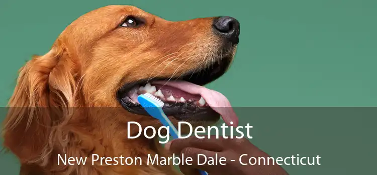 Dog Dentist New Preston Marble Dale - Connecticut