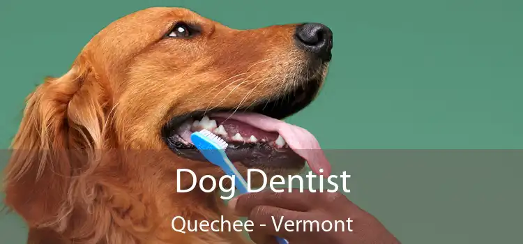 Dog Dentist Quechee - Vermont