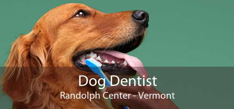 Dog Dentist Randolph Center - Vermont
