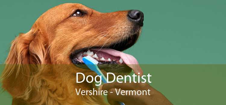 Dog Dentist Vershire - Vermont