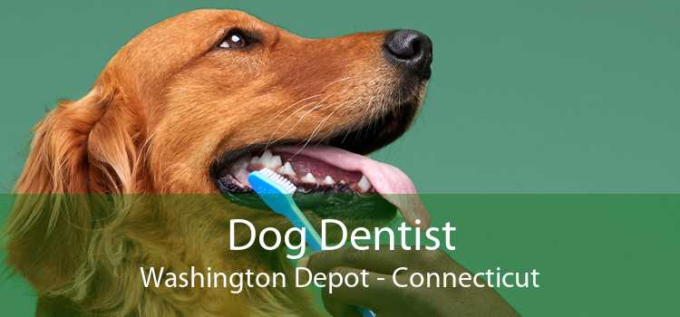 Dog Dentist Washington Depot - Connecticut