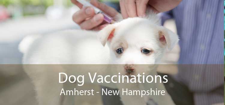 Dog Vaccinations Amherst - New Hampshire