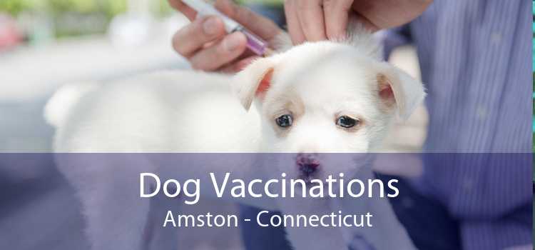 Dog Vaccinations Amston - Connecticut