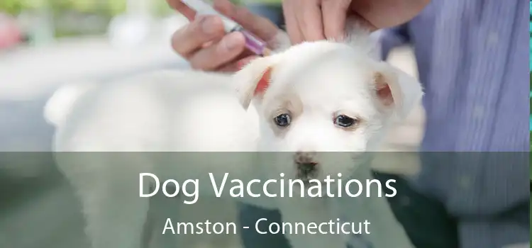 Dog Vaccinations Amston - Connecticut