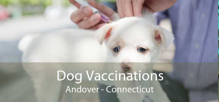 Dog Vaccinations Andover - Connecticut