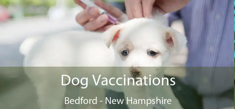 Dog Vaccinations Bedford - New Hampshire