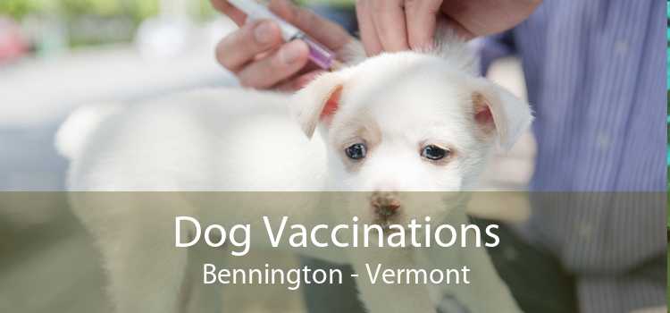 Dog Vaccinations Bennington - Vermont