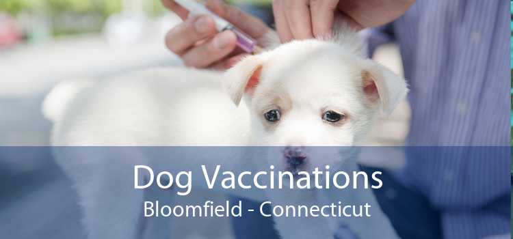 Dog Vaccinations Bloomfield - Connecticut
