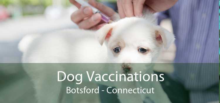 Dog Vaccinations Botsford - Connecticut