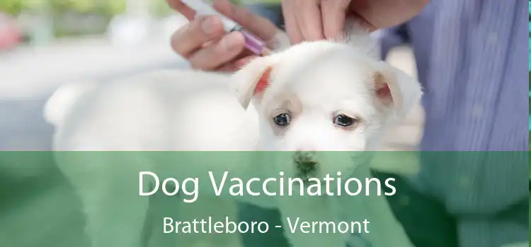 Dog Vaccinations Brattleboro - Vermont